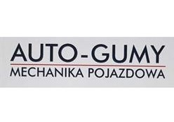 AUTO-GUMY CHOCIWEL PAWEŁ KOWCUN