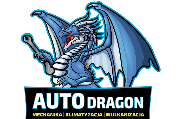 AUTO DRAGON GRZEGORZ PŁOWUCHA