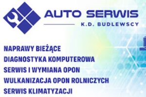 AUTO CZĘŚCI BUDLEWSCY Karolina Budlewska